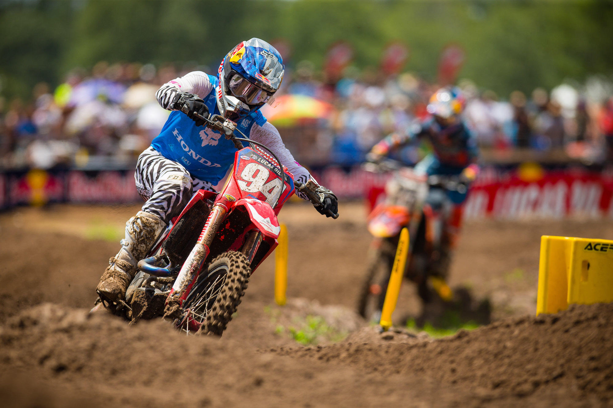 Multiple_JK_MX19_Florida_1368