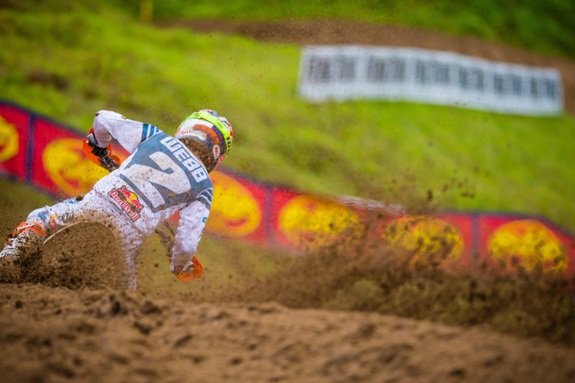 Webb_JK_MX19_Spring_Creek_1228