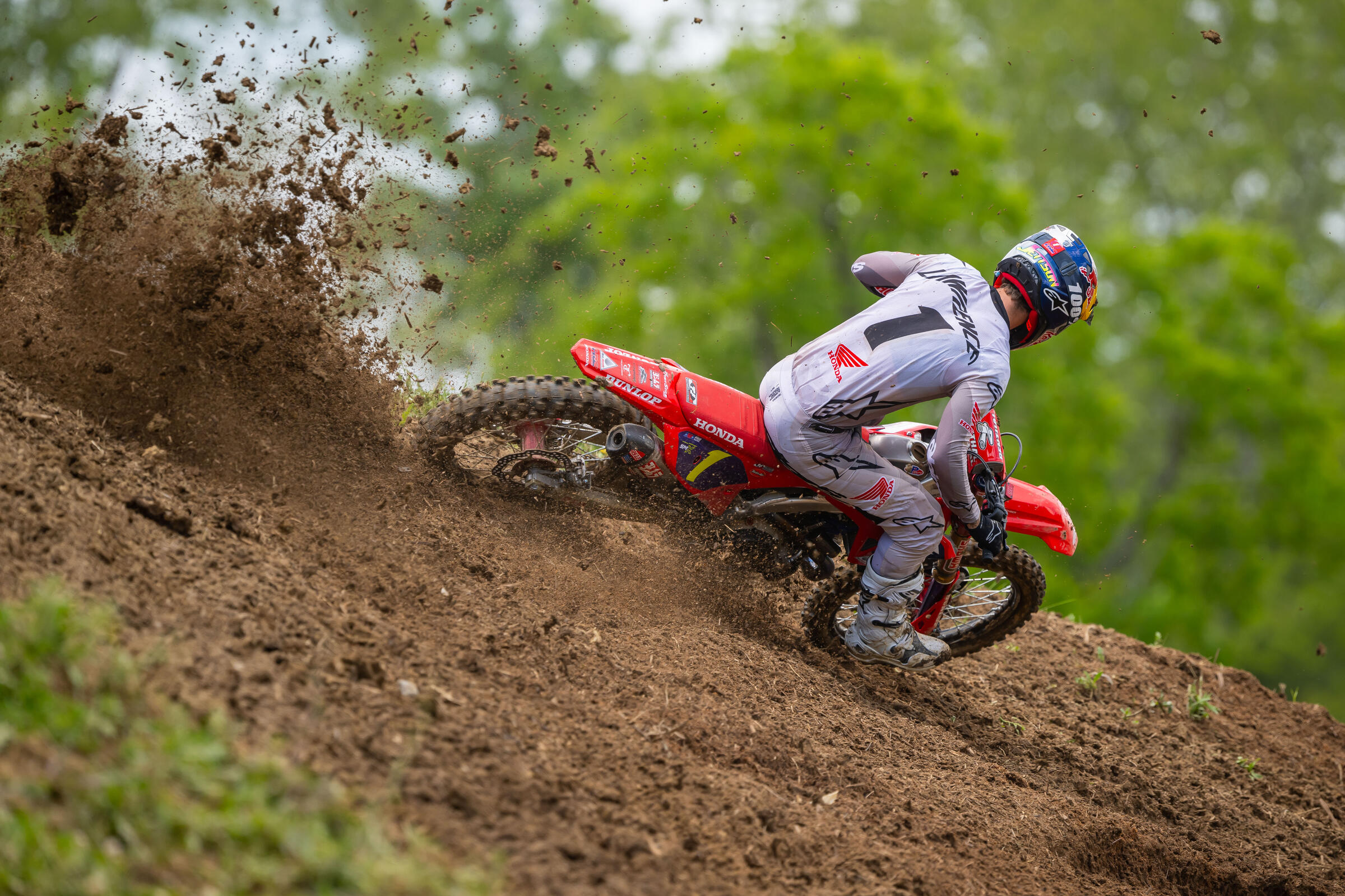 Lawrence_J_AlignMedia_MX24_HighPoint_012
