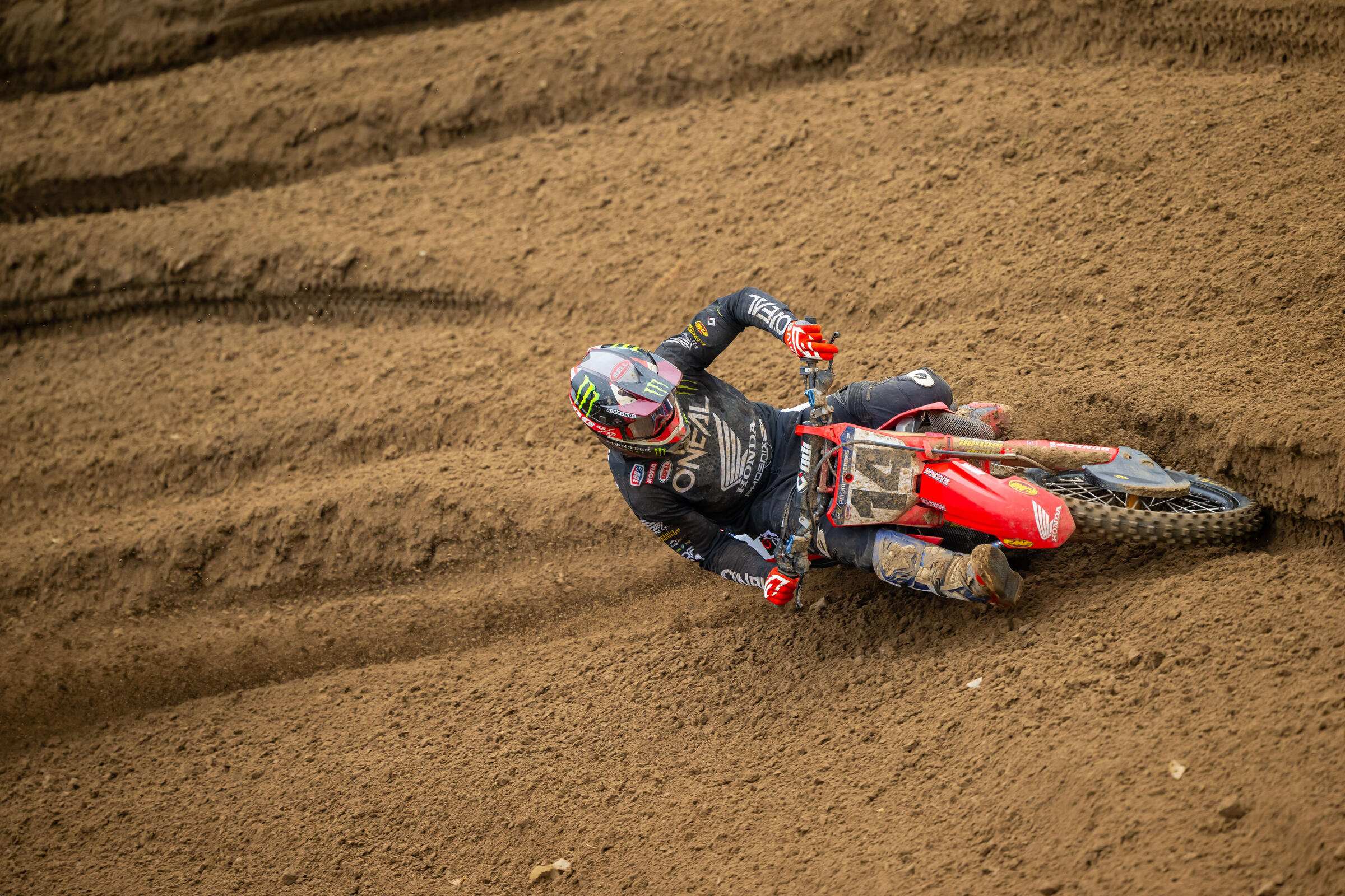 Ferrandis_AlignMedia_MX24_SpringCreek_024