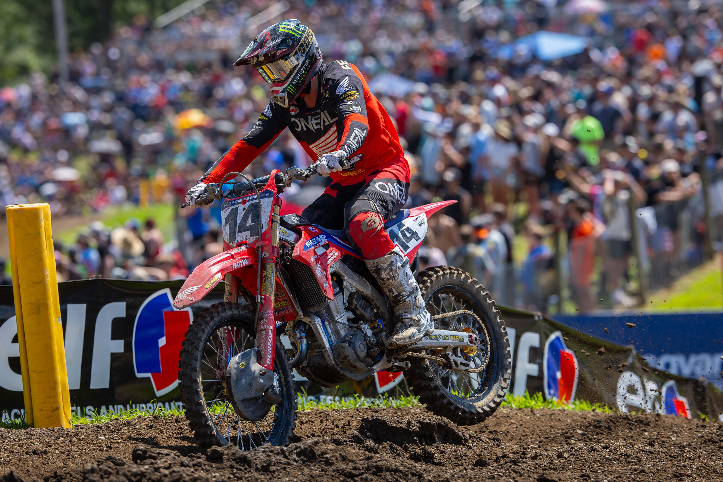 Ferrandis_AlignMedia_MX24_Unadilla_009